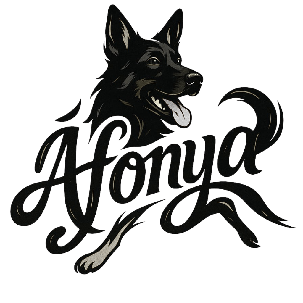 Áfonya Kutyiskola - Áfonya Kutyaiskola - Tanulás, élmény, közösség